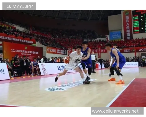 专业解读：杭州篮球队的防守打法